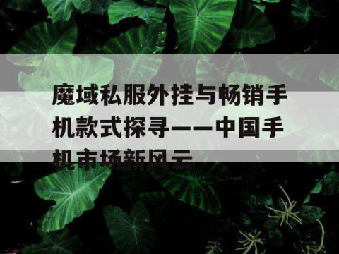 魔域私服外挂与畅销手机款式探寻——中国手机市场新风云