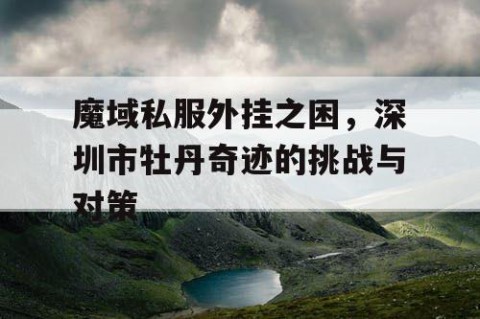 魔域私服外挂之困，深圳市牡丹奇迹的挑战与对策
