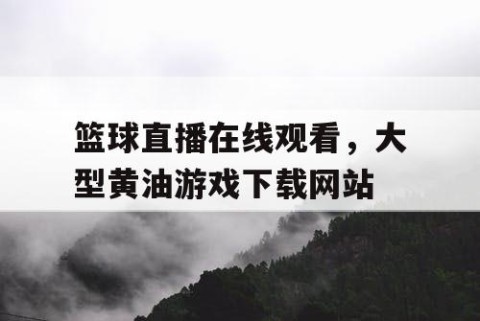 篮球直播在线观看，大型黄油游戏下载网站