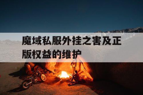 魔域私服外挂之害及正版权益的维护