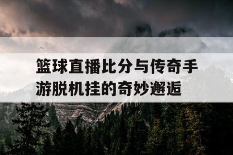 篮球直播比分与传奇手游脱机挂的奇妙邂逅