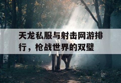天龙私服与射击网游排行，枪战世界的双璧