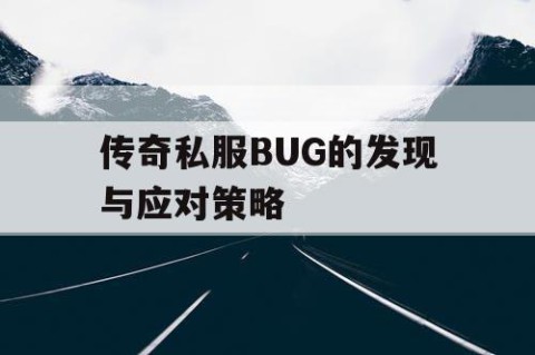 传奇私服BUG的发现与应对策略