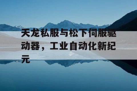 天龙私服与松下伺服驱动器，工业自动化新纪元