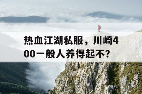 热血江湖私服，川崎400一般人养得起不？