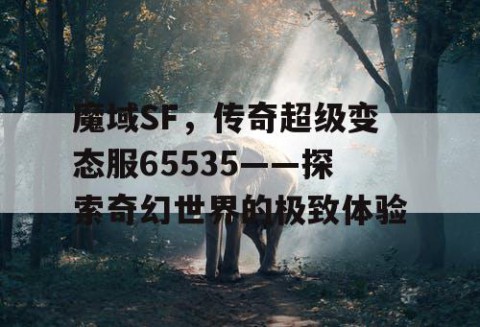 魔域SF，传奇超级变态服65535——探索奇幻世界的极致体验