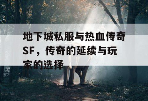 地下城私服与热血传奇SF，传奇的延续与玩家的选择