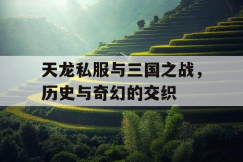 天龙私服与三国之战，历史与奇幻的交织