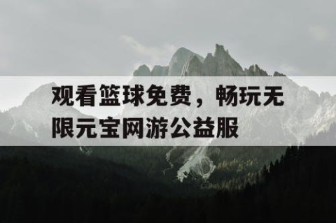观看篮球免费，畅玩无限元宝网游公益服