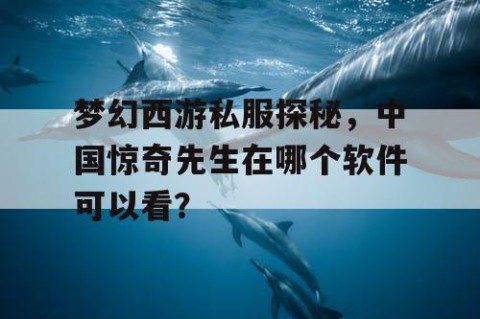 梦幻西游私服探秘，中国惊奇先生在哪个软件可以看？