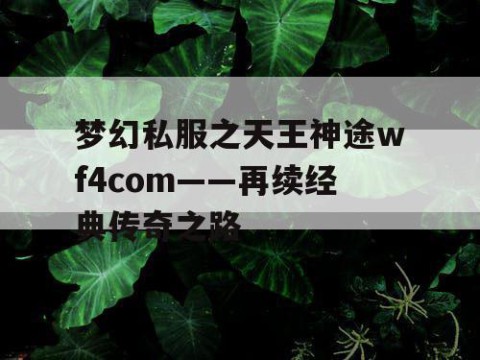 梦幻私服之天王神途wf4com——再续经典传奇之路