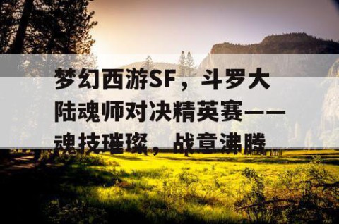 梦幻西游SF，斗罗大陆魂师对决精英赛——魂技璀璨，战意沸腾