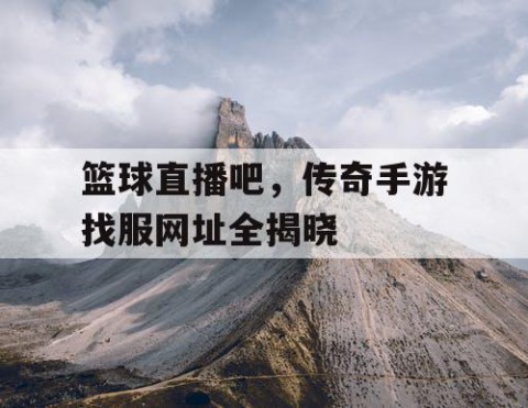 篮球直播吧，传奇手游找服网址全揭晓