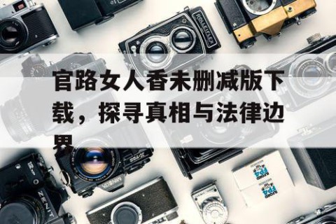 官路女人香未删减版下载，探寻真相与法律边界
