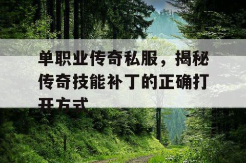 单职业传奇私服，揭秘传奇技能补丁的正确打开方式