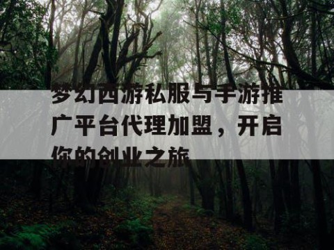 梦幻西游私服与手游推广平台代理加盟，开启你的创业之旅