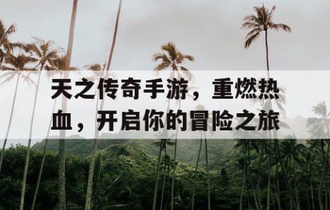 天之传奇手游，重燃热血，开启你的冒险之旅