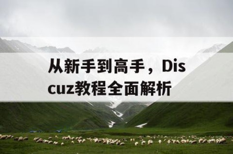 从新手到高手，Discuz教程全面解析