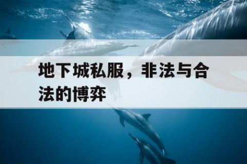 地下城私服，非法与合法的博弈