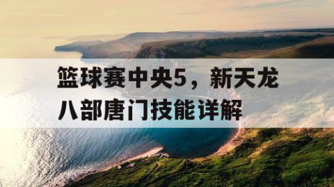 篮球赛中央5,新天龙八部唐门技能详解
