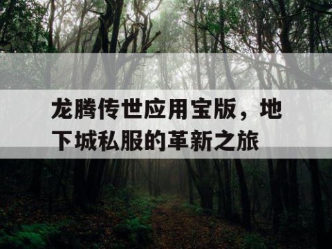 龙腾传世应用宝版，地下城私服的革新之旅