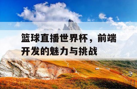 篮球直播世界杯,前端开发的魅力与挑战