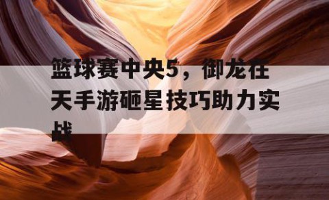 篮球赛中央5，御龙在天手游砸星技巧助力实战