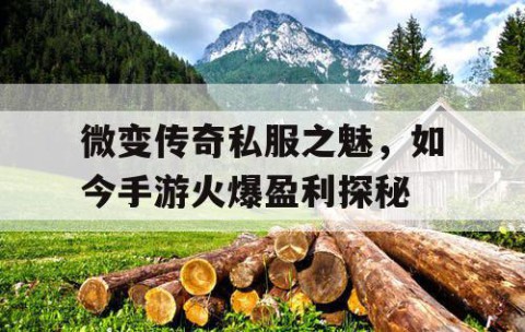 微变传奇私服之魅，如今手游火爆盈利探秘