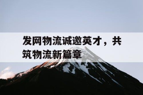 发网物流诚邀英才，共筑物流新篇章