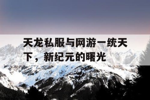 天龙私服与网游一统天下，新纪元的曙光