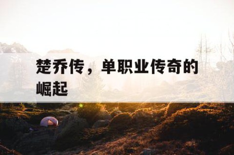 楚乔传，单职业传奇的崛起