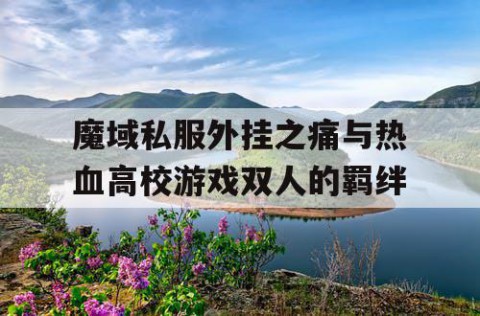 魔域私服外挂之痛与热血高校游戏双人的羁绊