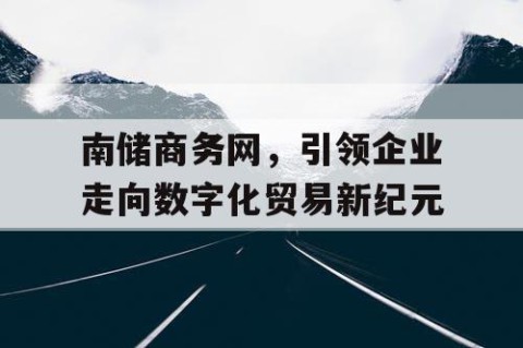 南储商务网，引领企业走向数字化贸易新纪元