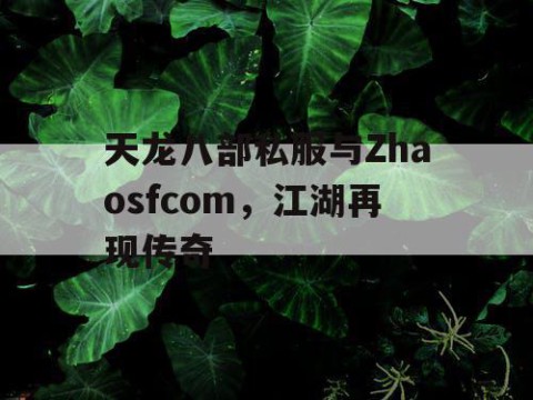 天龙八部私服与Zhaosfcom，江湖再现传奇