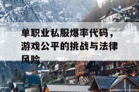 单职业私服爆率代码，游戏公平的挑战与法律风险