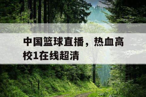 中国篮球直播，热血高校1在线超清