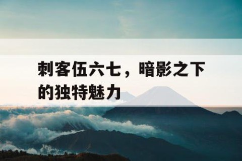 刺客伍六七，暗影之下的独特魅力