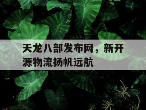 天龙八部发布网，新开源物流扬帆远航