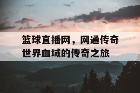 篮球直播网,网通传奇世界血域的传奇之旅