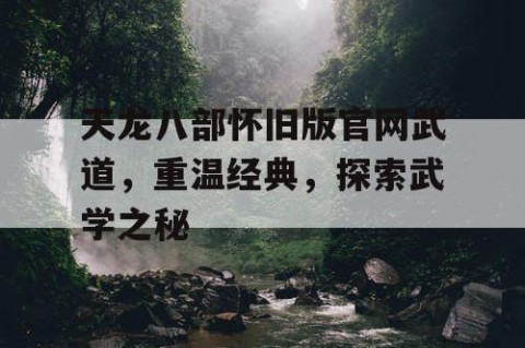 天龙八部怀旧版官网武道，重温经典，探索武学之秘