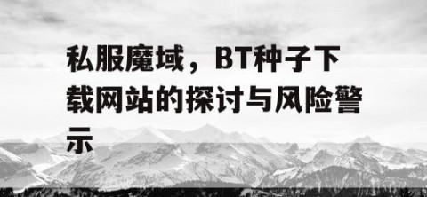 私服魔域，BT种子下载网站的探讨与风险警示