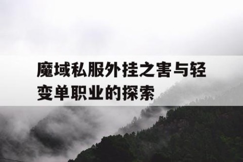 魔域私服外挂之害与轻变单职业的探索