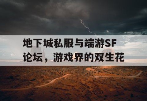 地下城私服与端游SF论坛，游戏界的双生花
