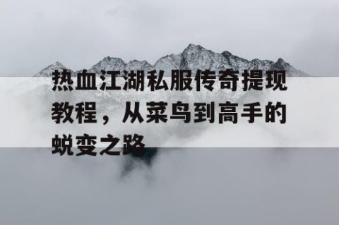 热血江湖私服传奇提现教程，从菜鸟到高手的蜕变之路
