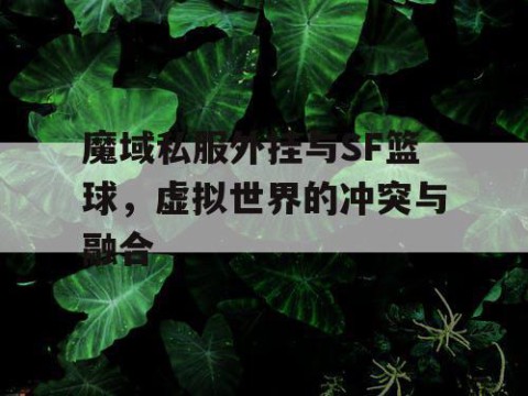 魔域私服外挂与SF篮球，虚拟世界的冲突与融合