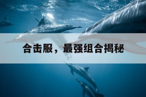 合击服，最强组合揭秘