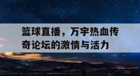 篮球直播,万宇热血传奇论坛的激情与活力