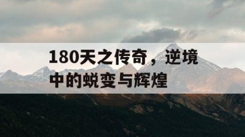 180天之传奇，逆境中的蜕变与辉煌