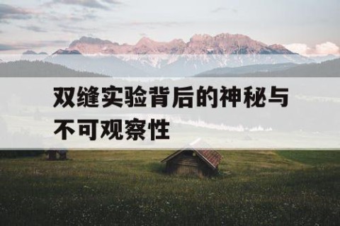 双缝实验背后的神秘与不可观察性