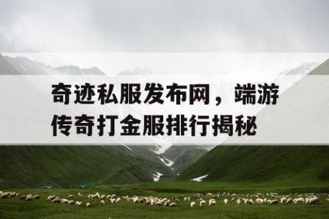 奇迹私服发布网，端游传奇打金服排行揭秘